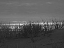 Dawn; 90 Mile Beach