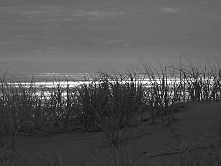 Dawn; 90 Mile Beach